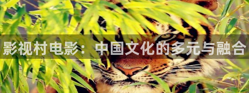 处女超碰：影视村电影：中国文化的多元与融合