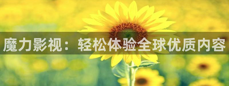 国语超碰对白