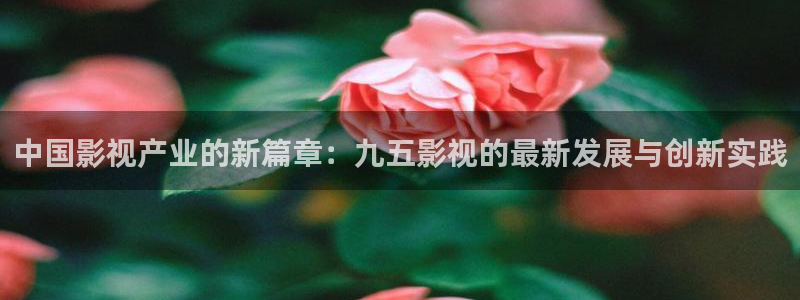 97超碰在线频