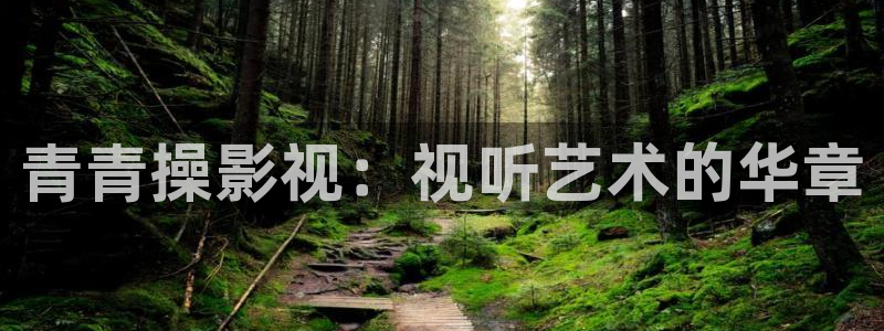 超碰在线看看：青青操影视：视听艺术的华章