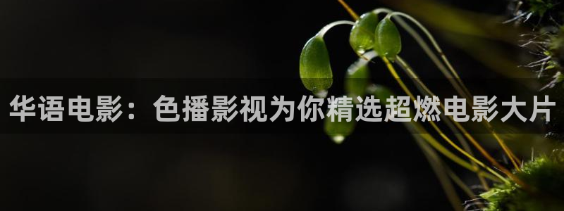 超碰在线17