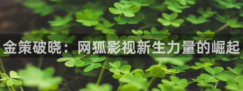 超碰在线超碰：金策破晓：网狐影视新生力量的崛起