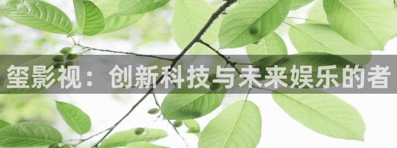 国产超碰97人人做人人爱：玺影视：创新科技与未来娱乐的者