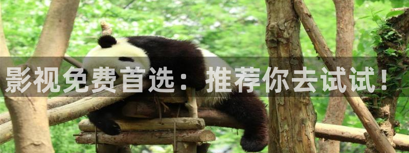 久久人人爽人人爽人人片av超碰：影视免费首选：推荐你去试试！